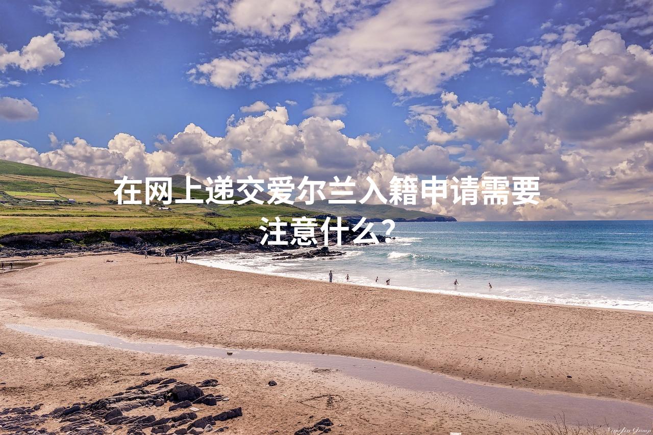 在网上递交爱尔兰入籍申请需要注意什么？