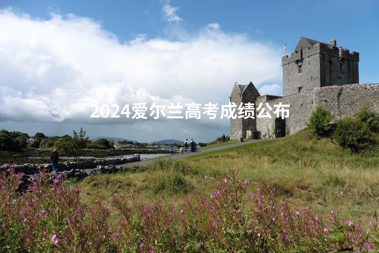 2024爱尔兰高考成绩公布