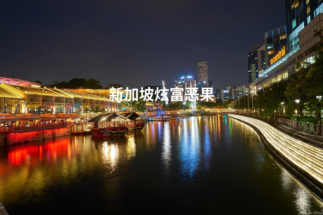 新加坡炫富恶果