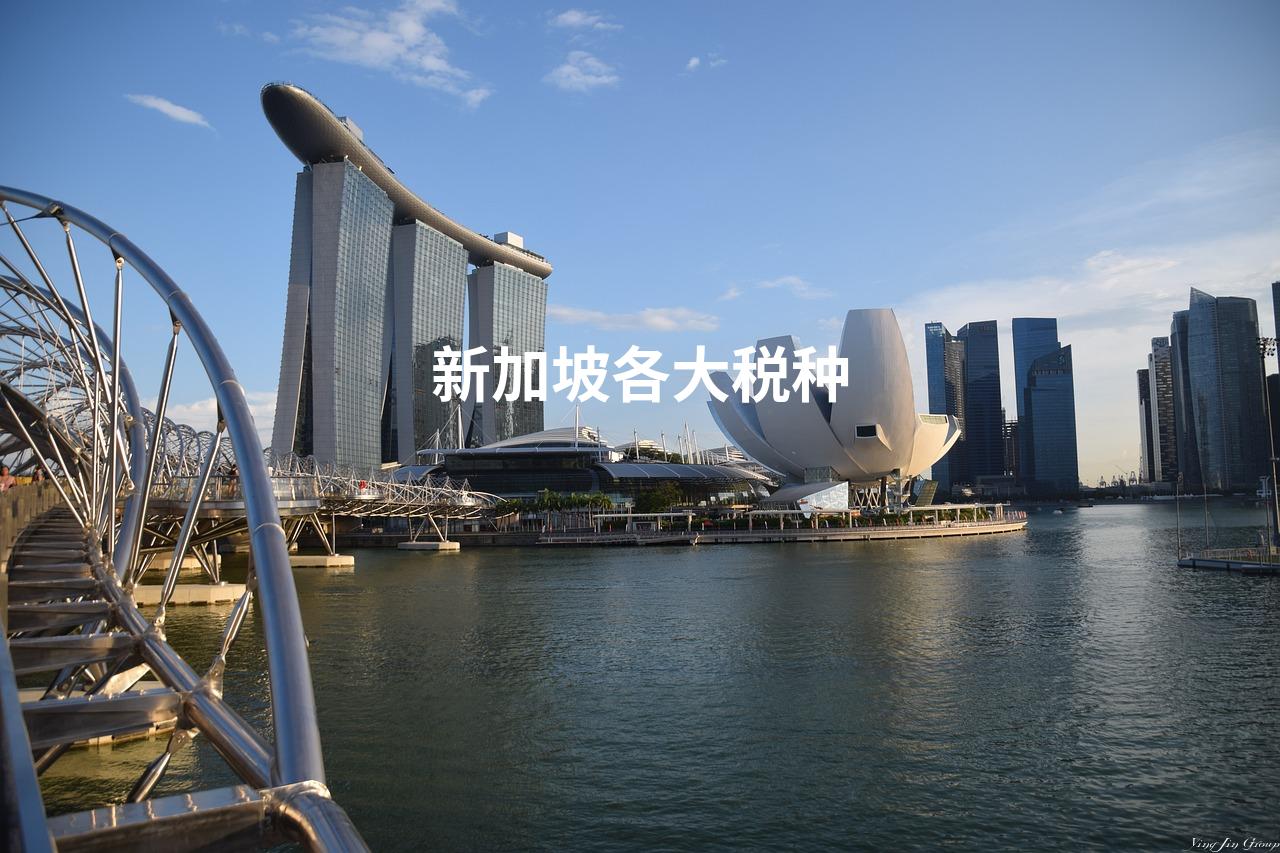 新加坡各大税种