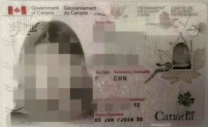 加拿大枫叶卡