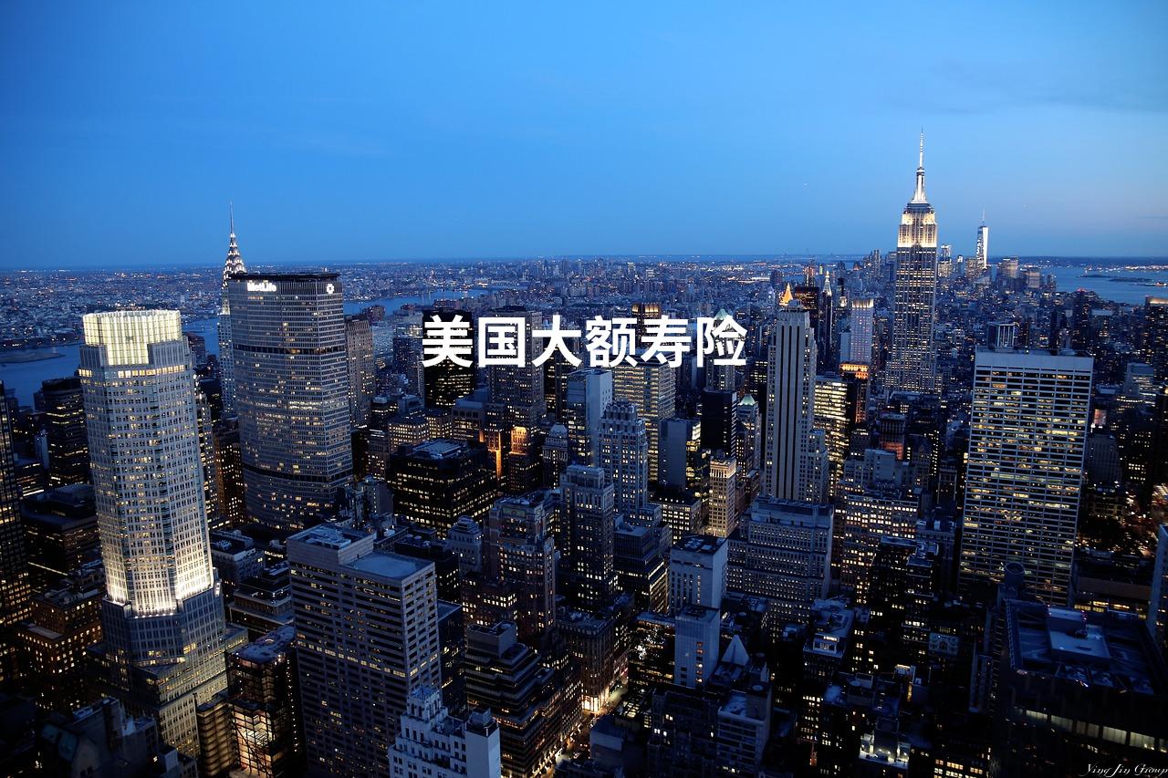 美国大额寿险