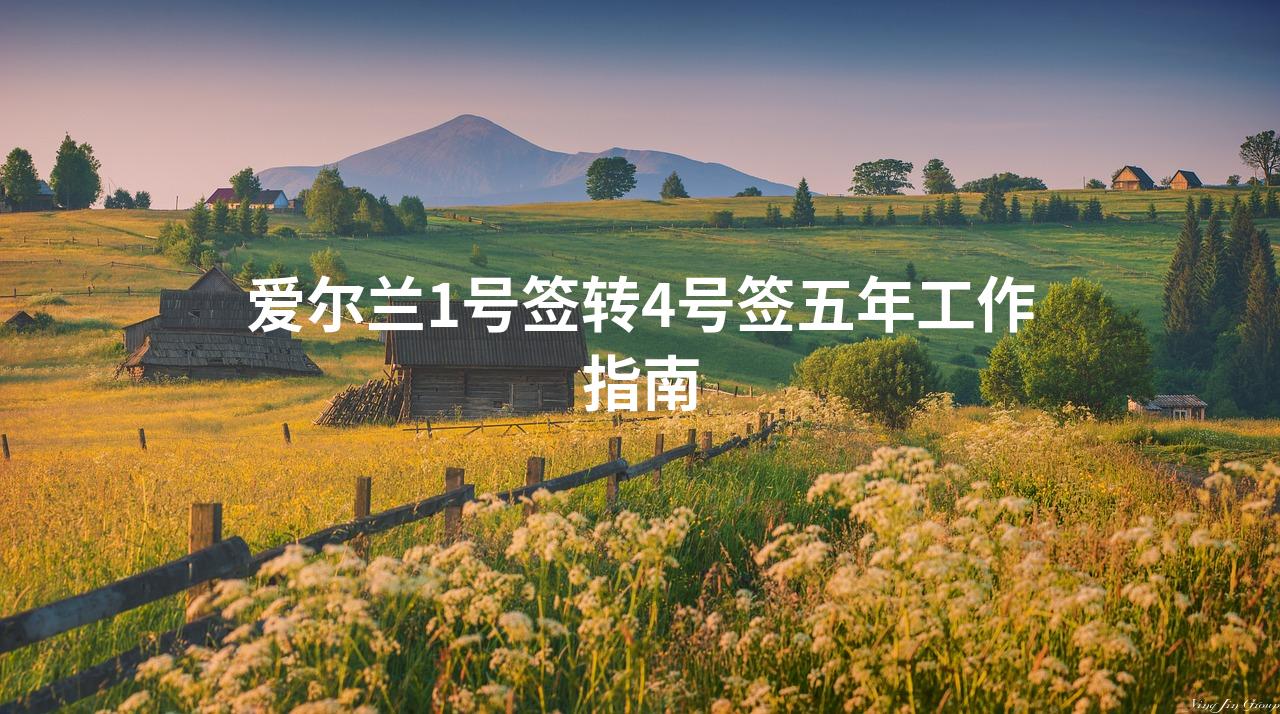 爱尔兰1号签转4号签五年工作指南