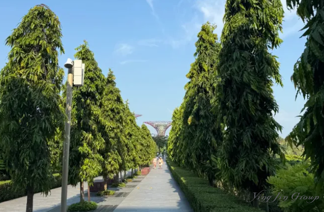 预警！新加坡PR审批窗口正在关闭，抓住下半年最后黄金申请期！