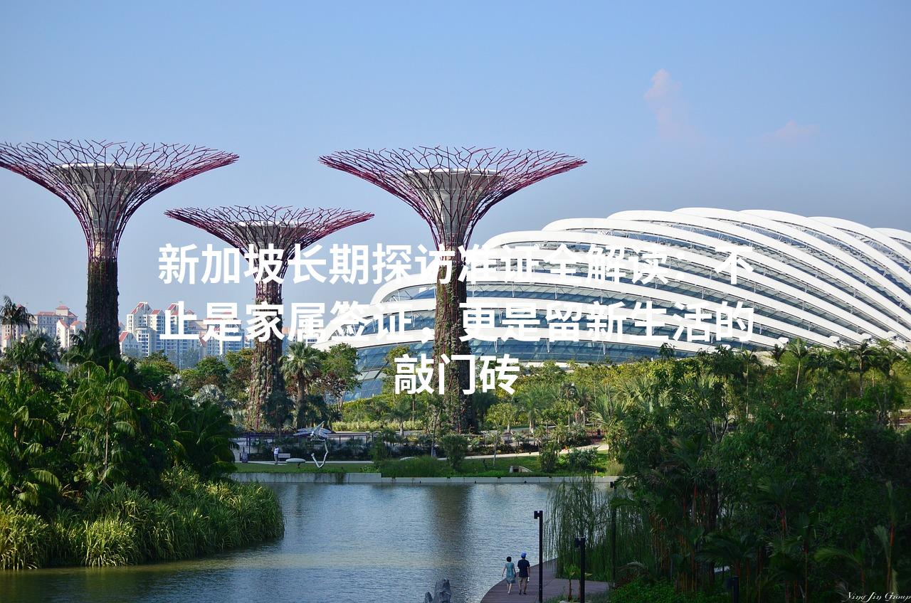 新加坡长期探访准证全解读:不止是家属签证,更是留新生活的敲门砖 新加坡长期探访准证全解读:不止是家属签证,更是留新生活的敲门砖