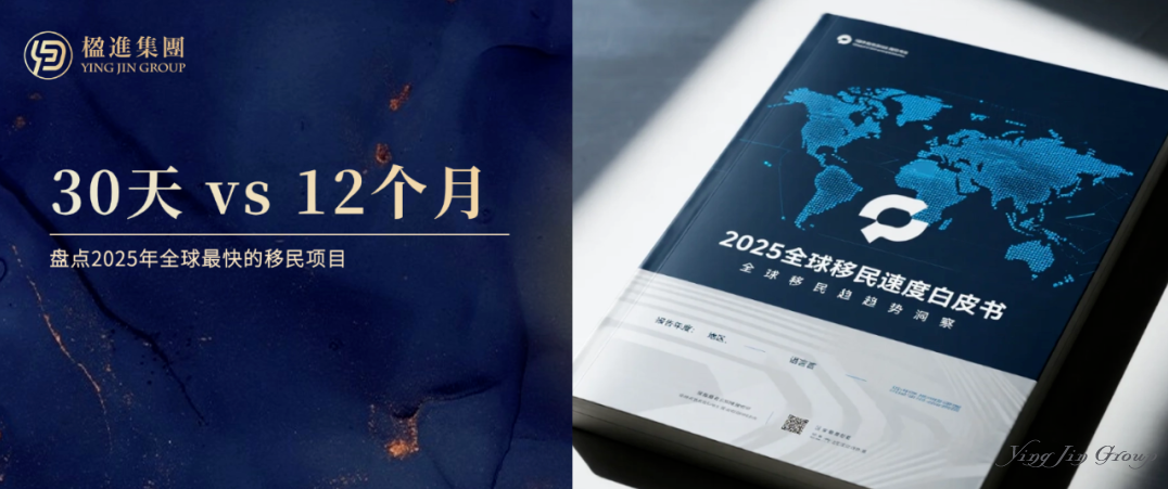30天 vs 12个月：不同预算和周期，如何选