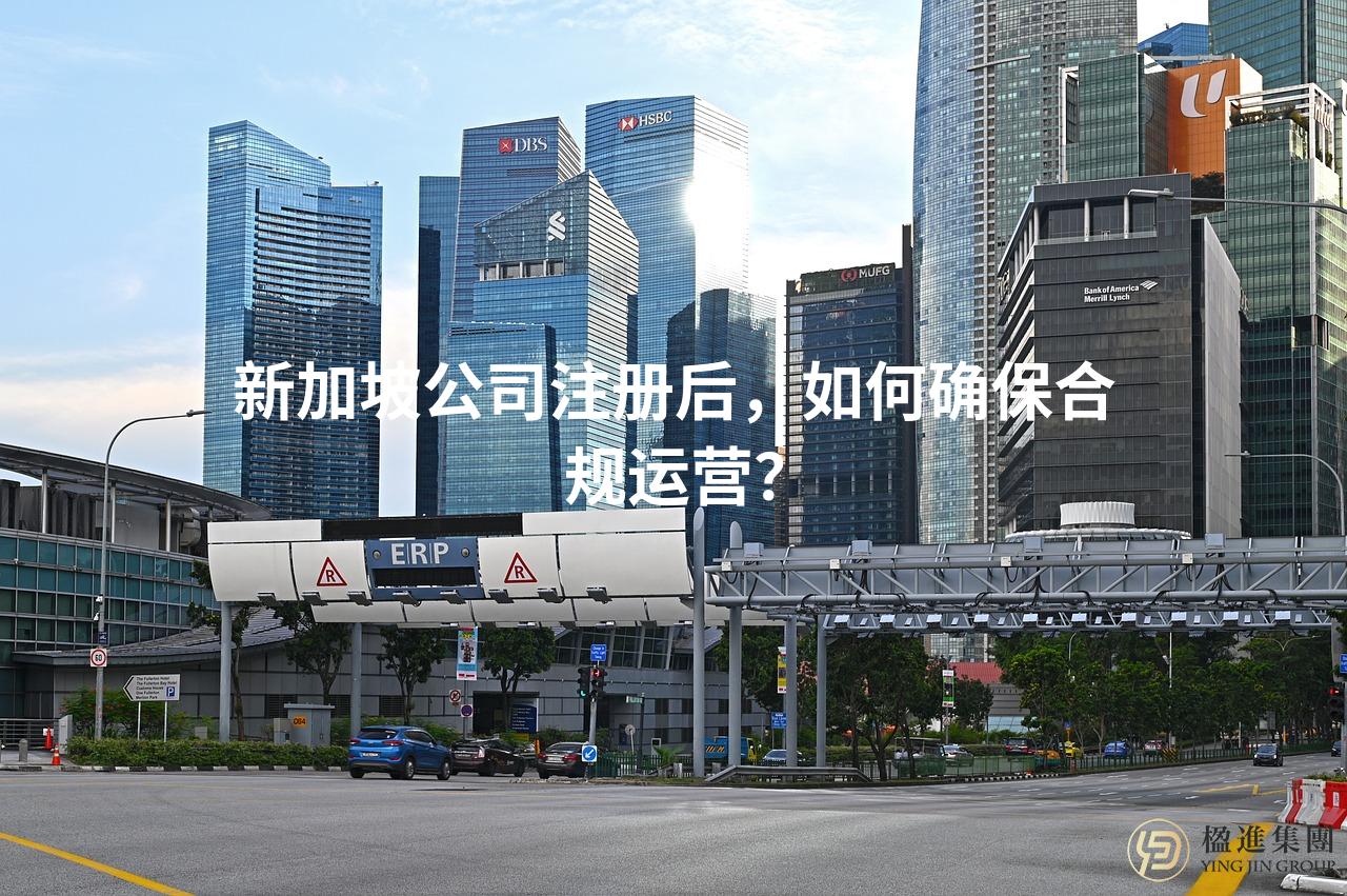 新加坡公司注册后,如何确保合规运营?