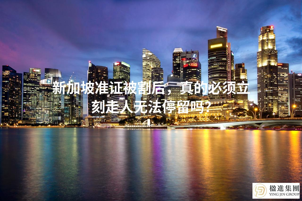 新加坡准证被割后，真的必须立刻走人无法停留吗？