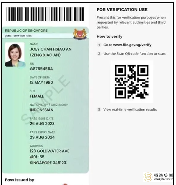 新加坡LTVP种类详解：涵盖工作签持有者与本地居民申请条件