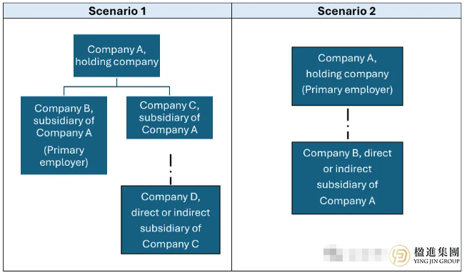 EP持有人新加坡董事职位的任职规则与申请指南