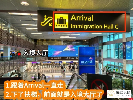 中国公民新加坡入境卡在线填申请全攻略