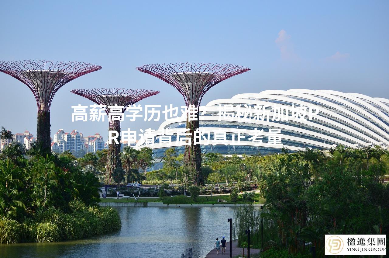 高薪高学历也难?揭秘新加坡PR申请背后的真正考量