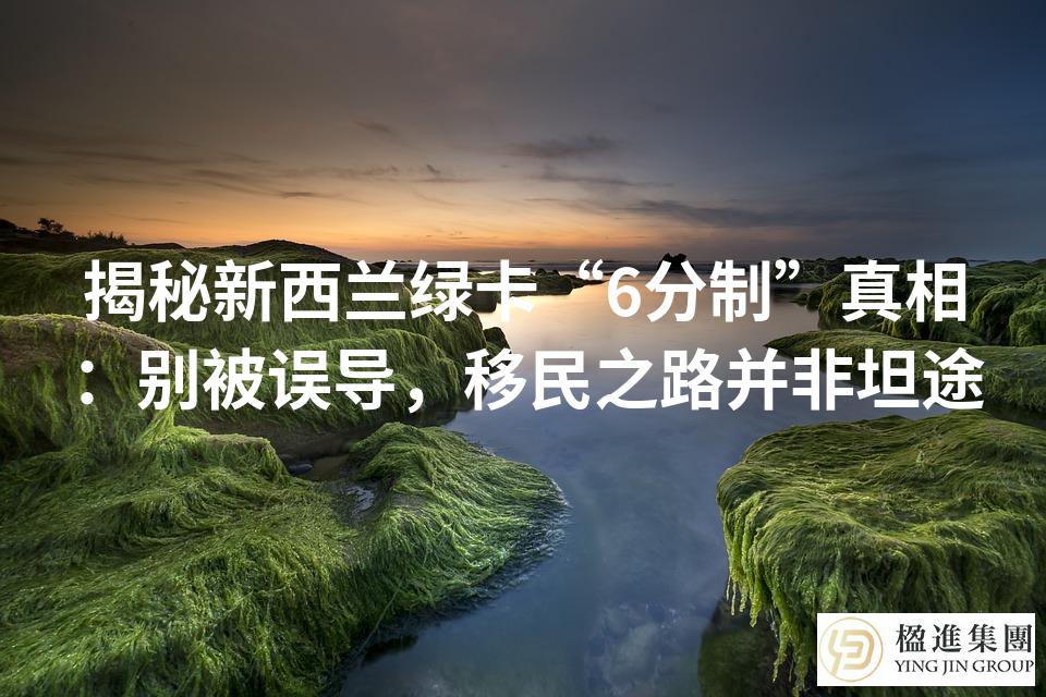 揭秘新西兰绿卡“6分制”真相:别被误导,移民之路并非坦途