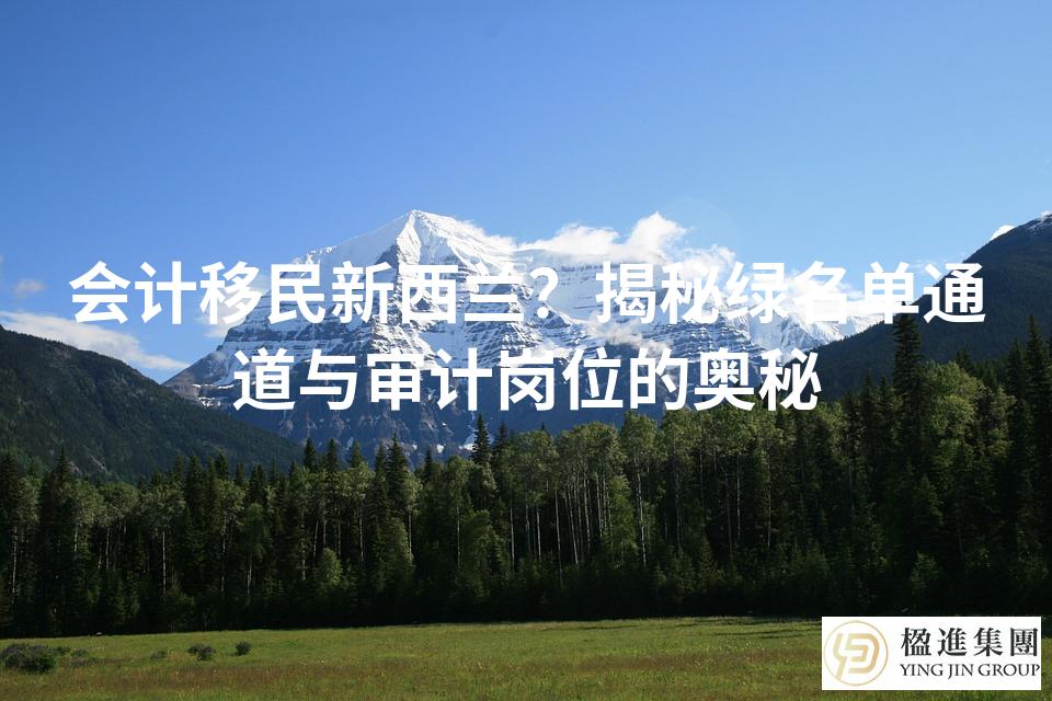 会计移民新西兰?揭秘绿名单通道与审计岗位的奥秘