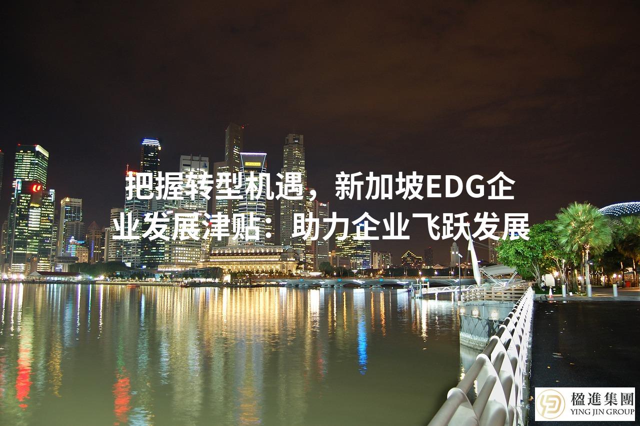把握转型机遇,新加坡EDG企业发展津贴:助力企业飞跃发展
