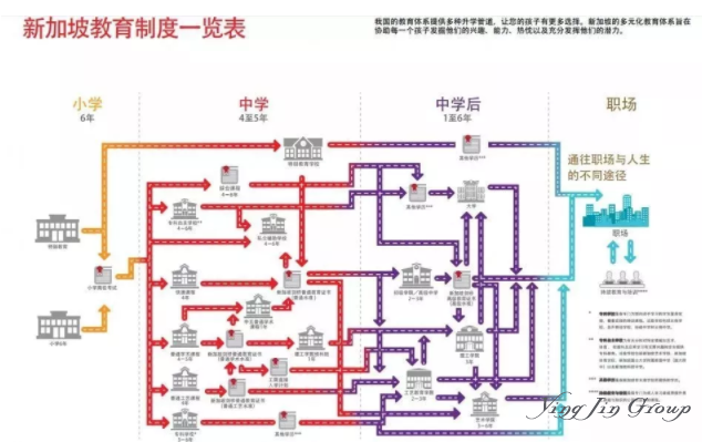 新加坡移民家长注意：今年准O-Level考生必备知识点你需要了解！