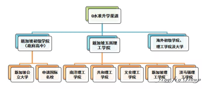 新加坡移民家长注意：今年准O-Level考生必备知识点你需要了解！