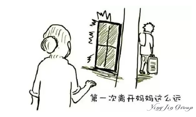 妈妈来了一趟洛杉矶，终于理解我为什么坚持移民美国了