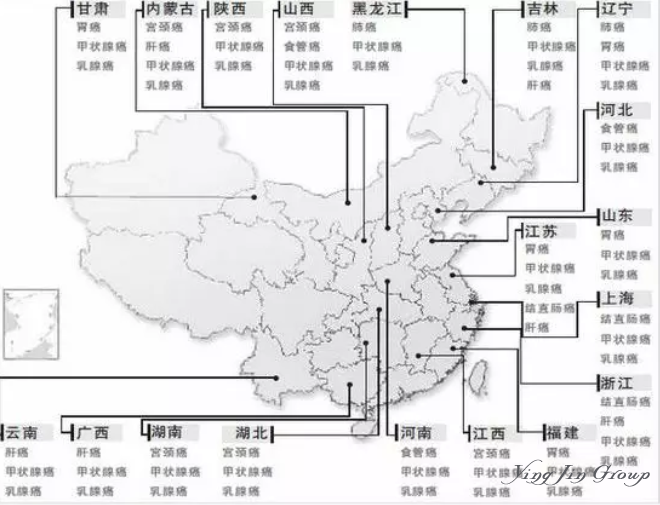 史上最严垃圾分类来了，“逼疯”上海人！看看这些国家与“垃圾”的故事~