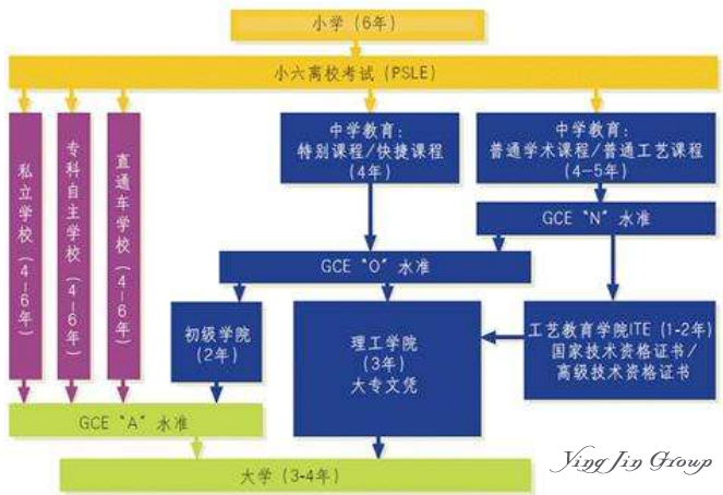 楹进集团：浅谈新加坡的分流教育