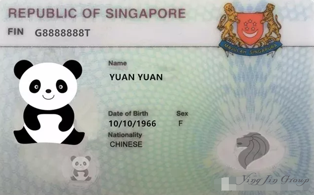 在新加坡更新长期探访准证需要准备什么资料？