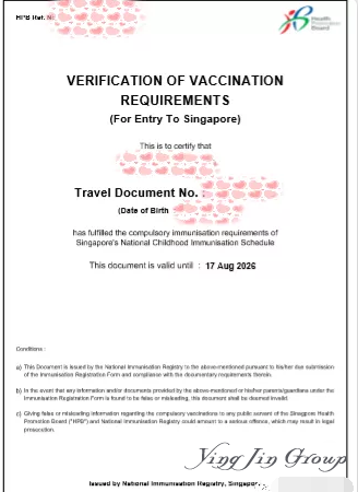手把手教你在新加坡给孩子办理疫苗公证