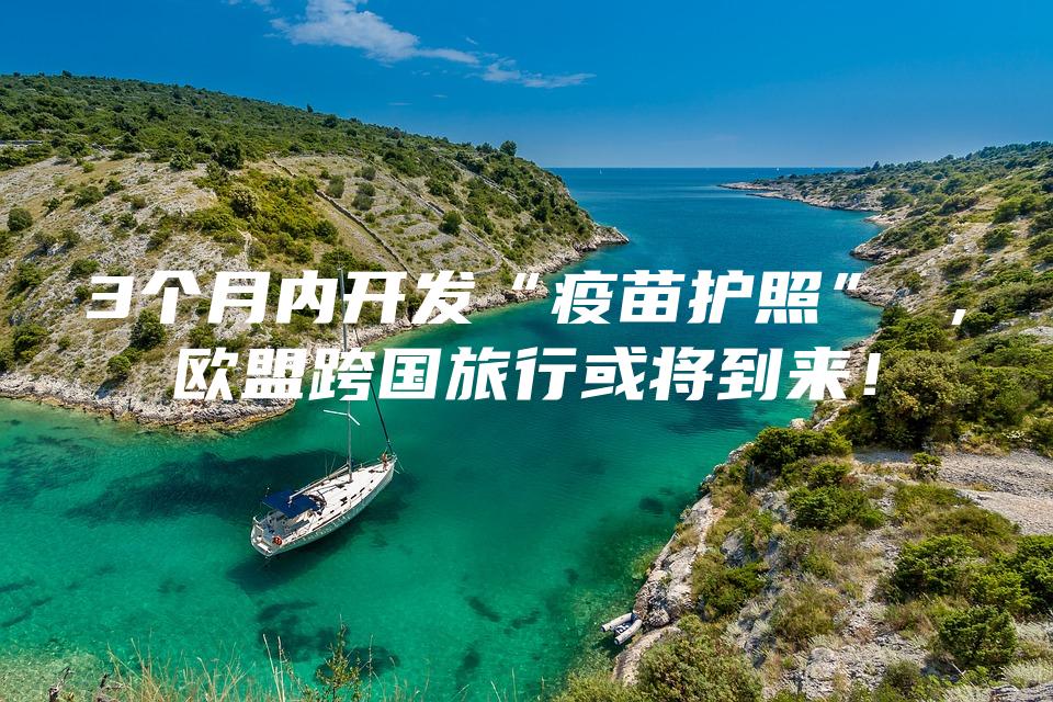 3个月内开发“疫苗护照” ，欧盟跨国旅行或将到来！