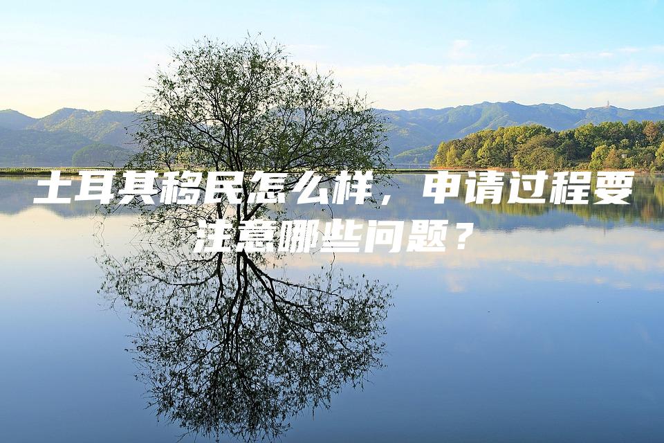 土耳其移民怎么样，申请过程要注意哪些问题？