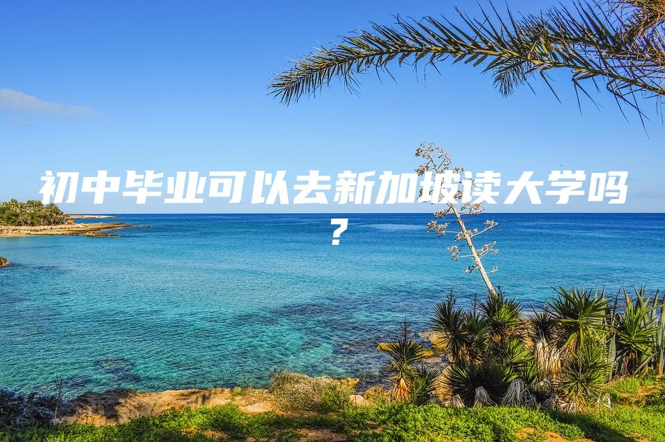 初中毕业可以去新加坡读大学吗？