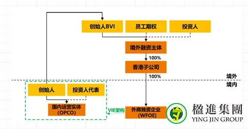 境外信托可以持有国内公司吗？