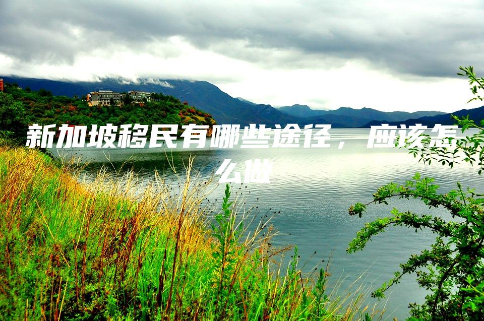新加坡移民有哪些途径，应该怎么做