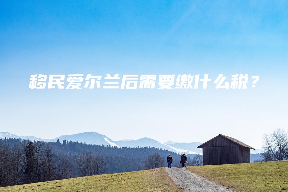 移民爱尔兰后需要缴什么税？