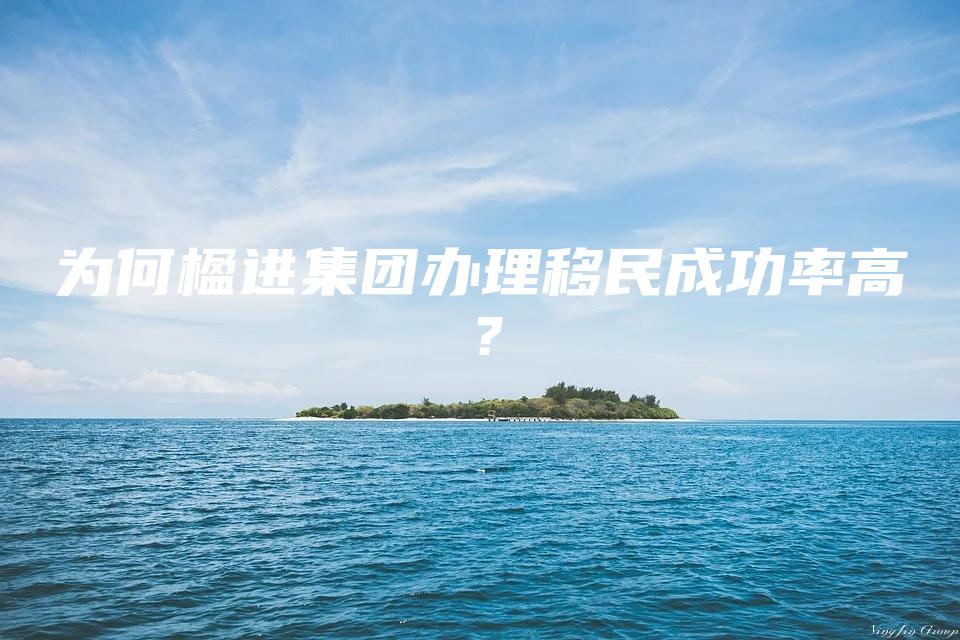 为何楹进集团办理移民成功率高？