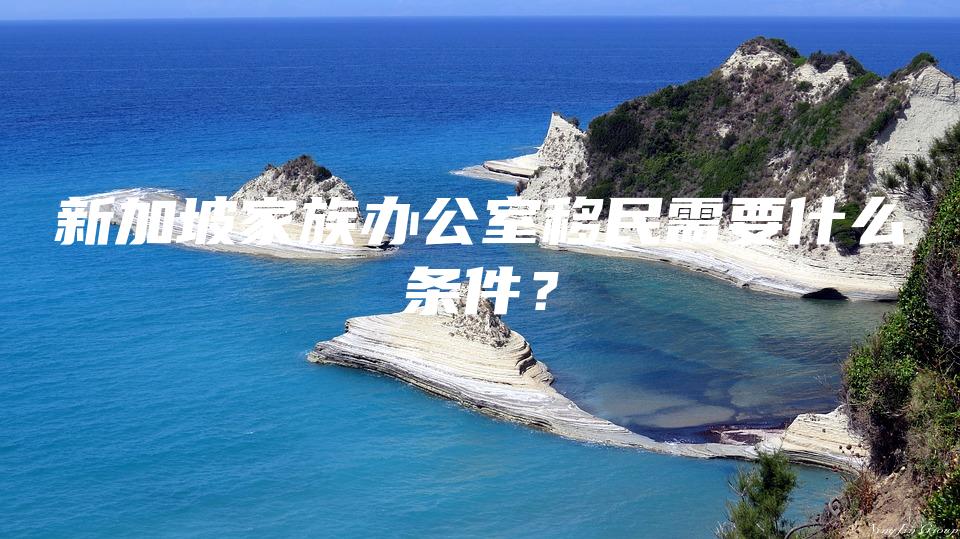 新加坡家族办公室移民需要什么条件？