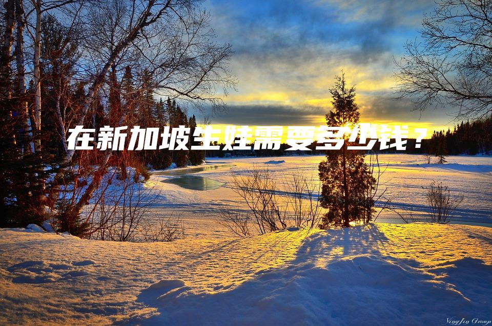 在新加坡生娃需要多少钱？