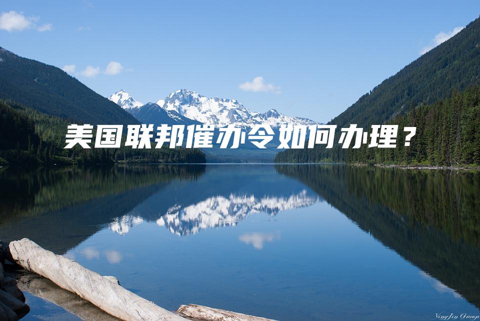 美国联邦催办令如何办理？