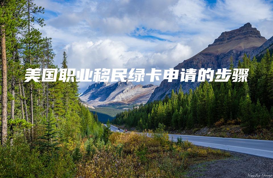 美国职业移民绿卡申请的步骤