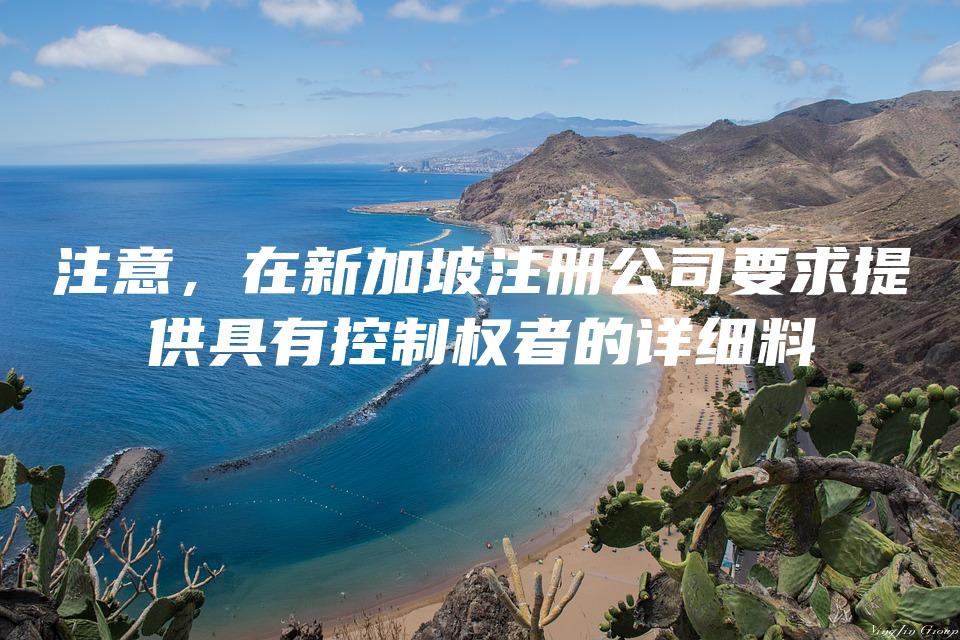 注意，在新加坡注册公司要求提供具有控制权者的详细料