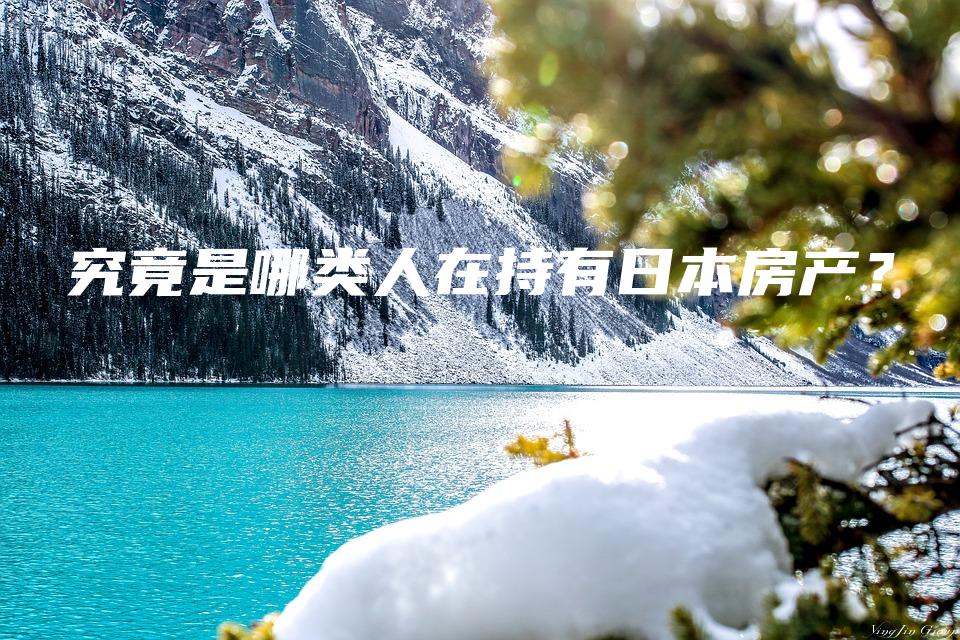 究竟是哪类人在持有日本房产？