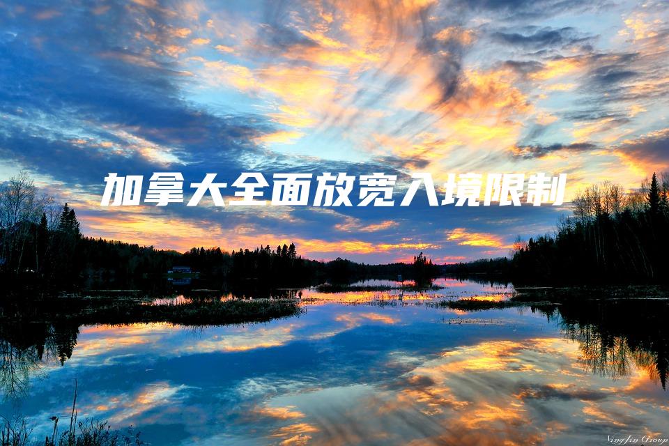 加拿大全面放宽入境限制
