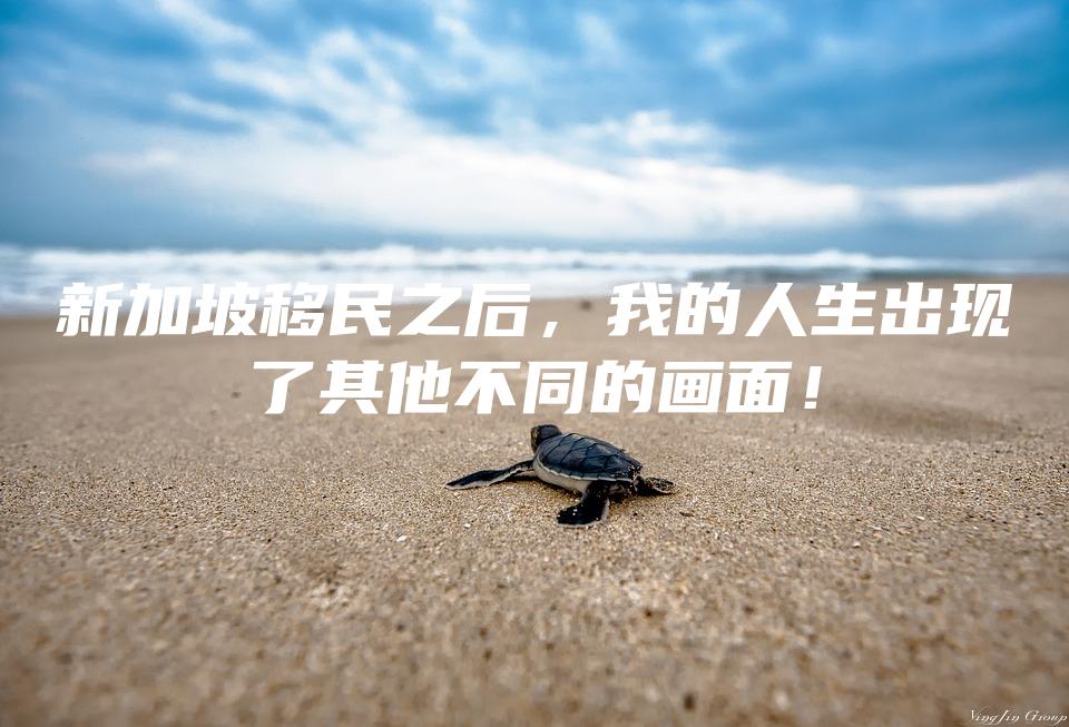 新加坡移民之后，我的人生出现了其他不同的画面！