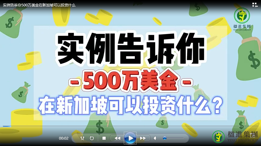 实例告诉你，500万美金在新加坡可以投资什么？