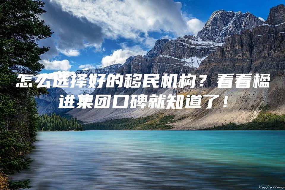 怎么选择好的移民机构？看看楹进集团口碑就知道了！