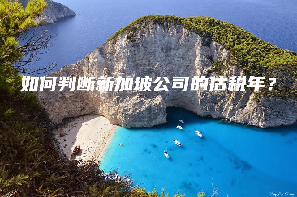 如何判断新加坡公司的估税年？