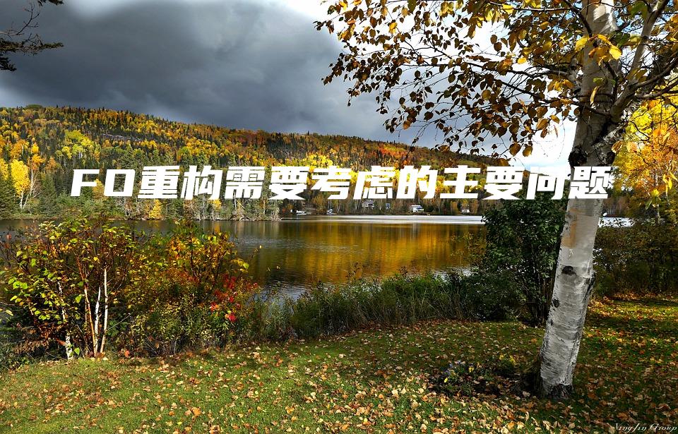 FO重构需要考虑的主要问题