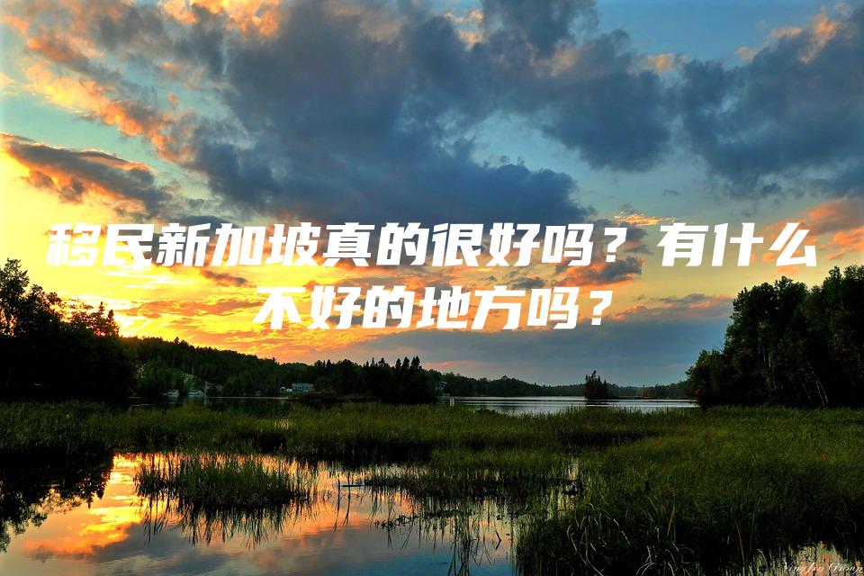 移民新加坡真的很好吗？有什么不好的地方吗？