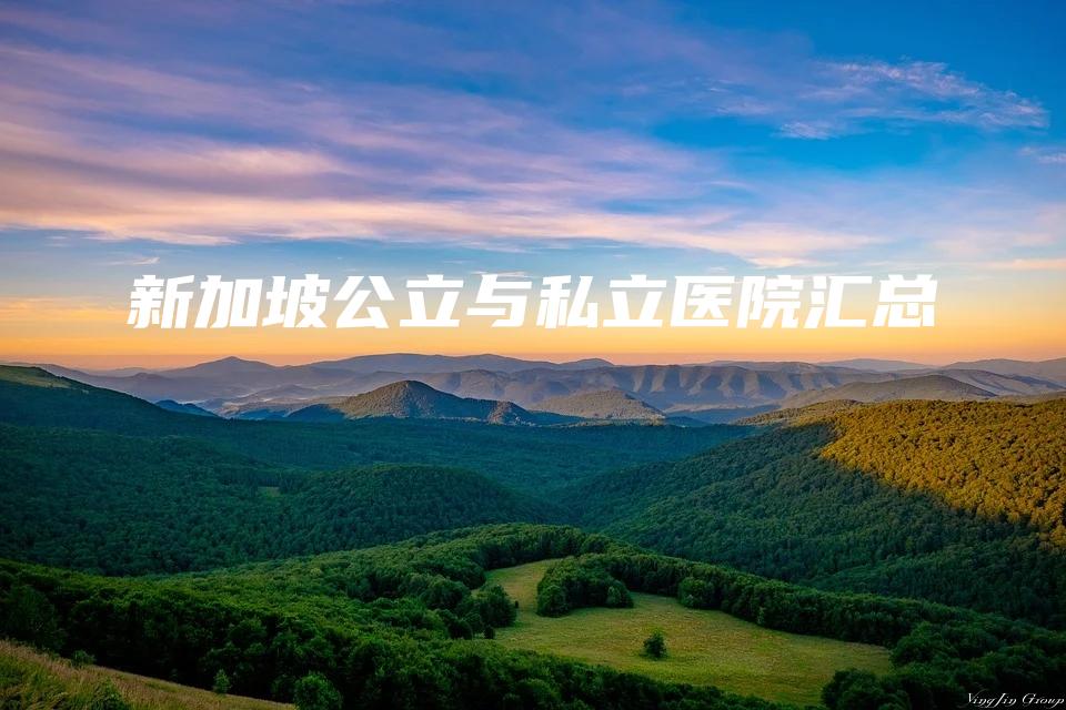 新加坡公立与私立医院汇总