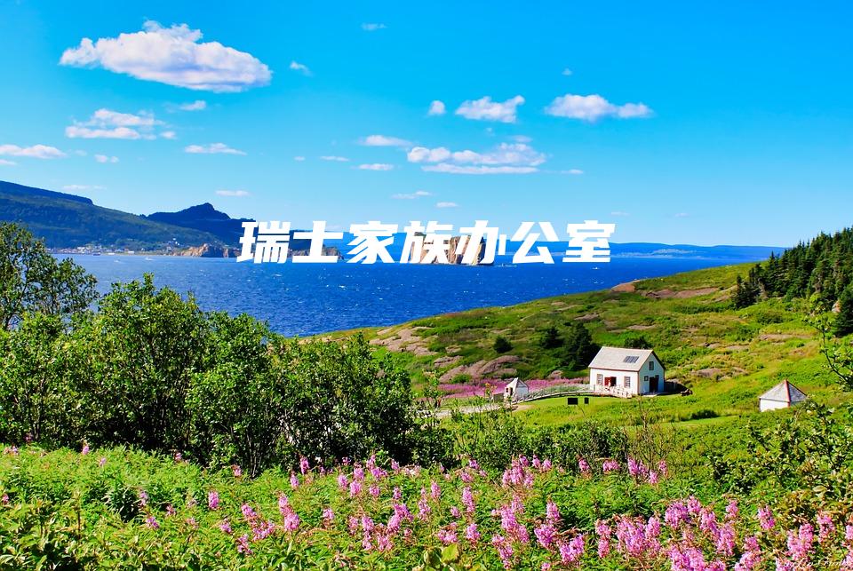 瑞士家族办公室