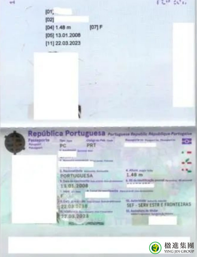 在葡萄牙出生的宝宝如何拿到葡萄牙国际？手把手教你