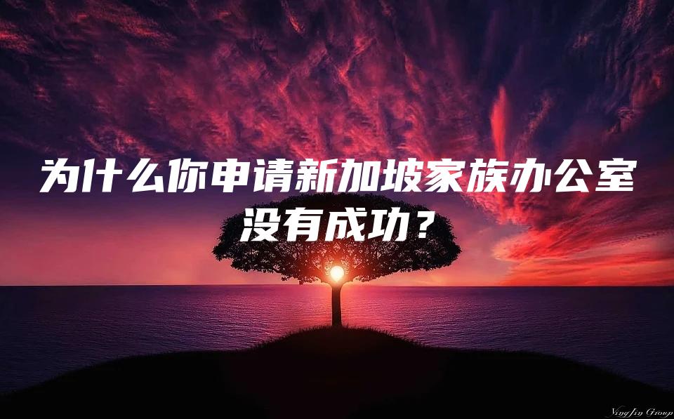 为什么你申请新加坡家族办公室没有成功？